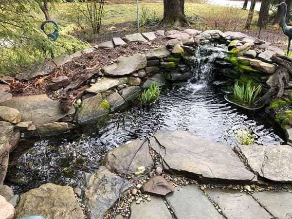 pond built by Freedom Stone + Pondscapes