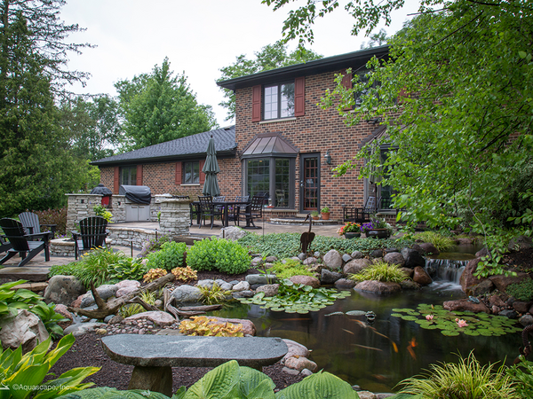 Large koi pond