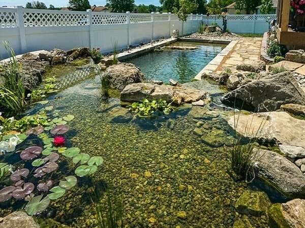 Natural swimming pool with filter