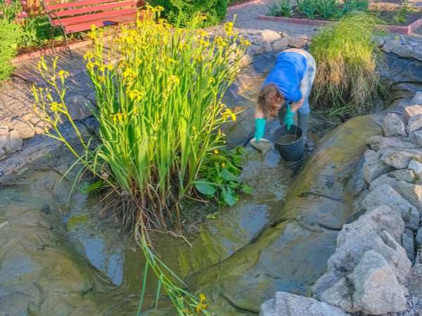 Removing muck from a pond bottom to clean it