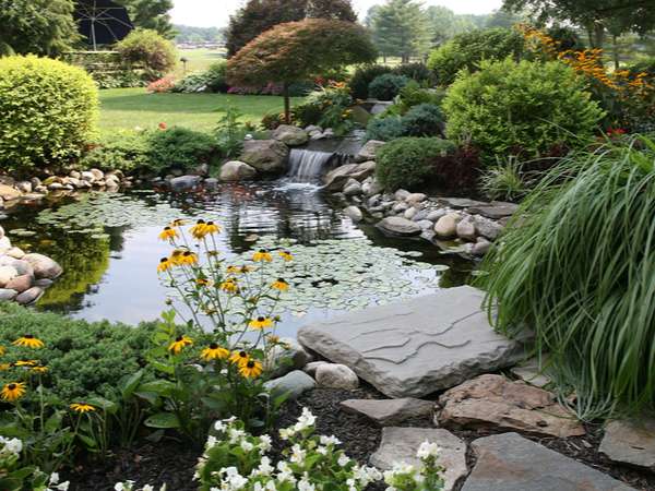 High end backyard koi pond with waterfall and plants