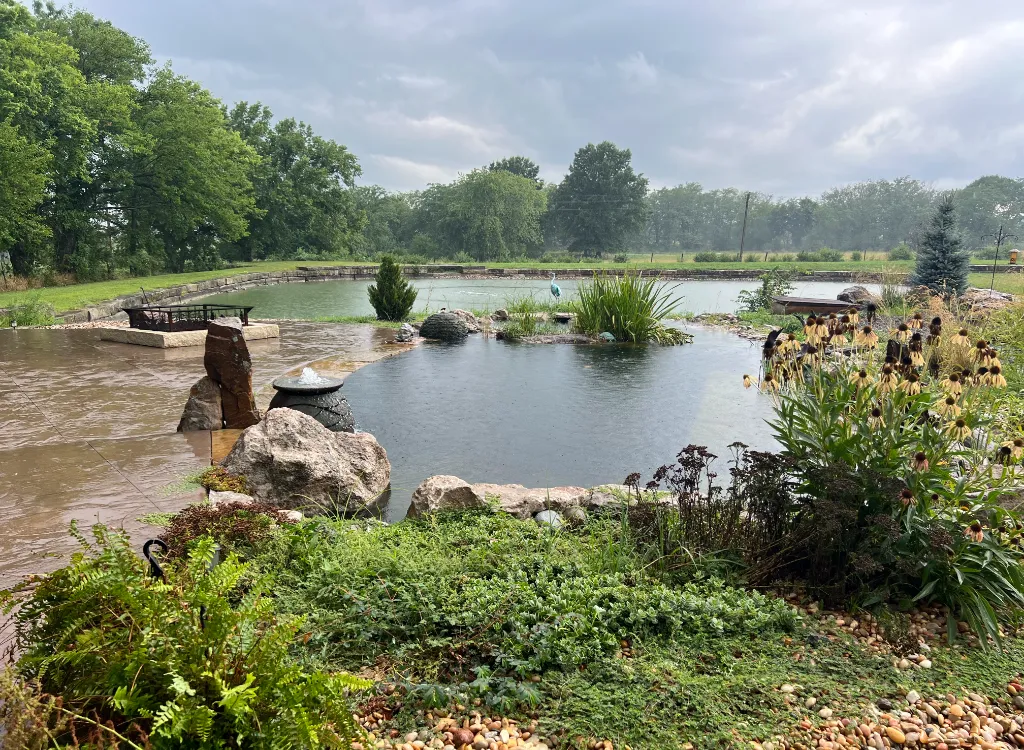 A natural pond surrounded by green vegetation.
