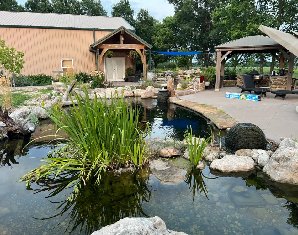 Plants in a natural swimming pond.