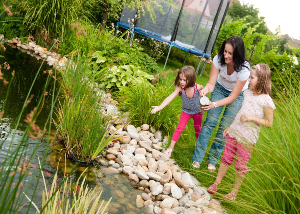 Family feeding their backyard pond fish