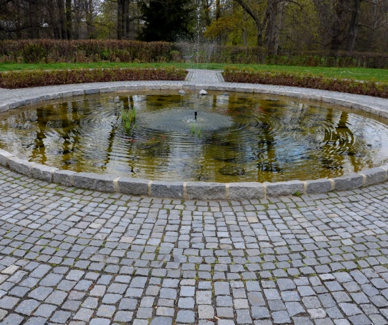 Backyard Koi Pond