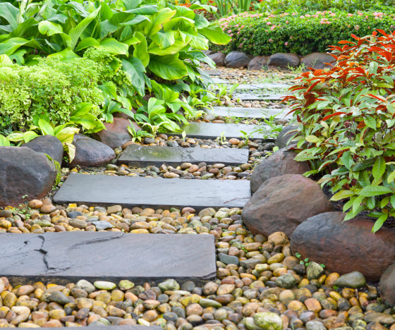 a garden with rocks, plants, and flowers.